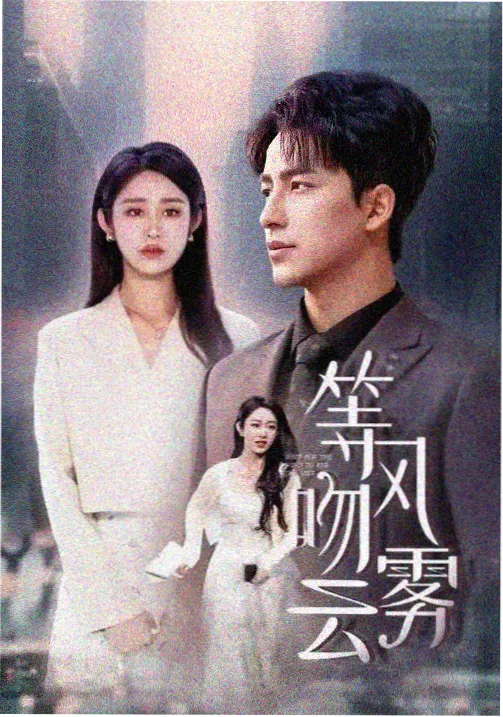 小镇观测站剧集封面